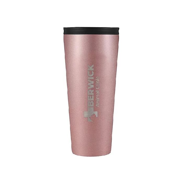 WC400300-Iron Flask Classic Tumbler 2.0 24 oz