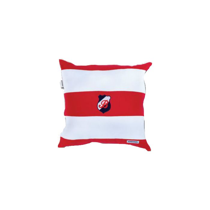 B08-Rugby Cushion