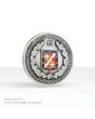 Custom Solid Pewter Coin (Up to 1.5 in) CCG-S15