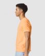 Comfort Colors - Garment-Dyed Heavyweight T-Shirt - 1717