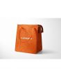 Insulated Tote Bag Item # BGSGTINS1315