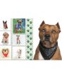 SU624-SU625 Pet Bandana - Custom Printed