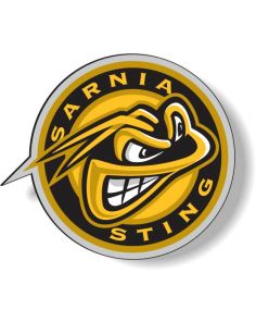 CSM035-4CP Custom Shape Auto Magnets