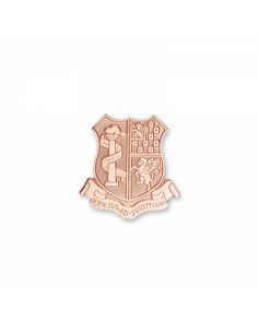 Lapel Pin Die Struck (Up to 1")
