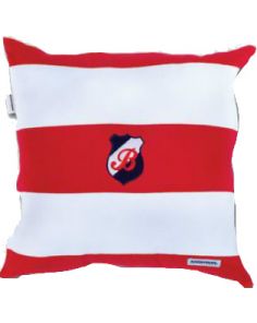 B08-Rugby Cushion